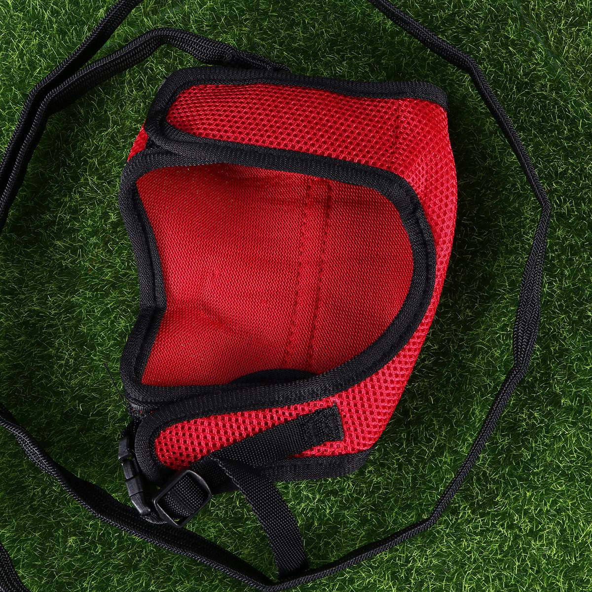 Guinzaglio e pettorina per con - Running Gear Rabbit recensione e prezzo