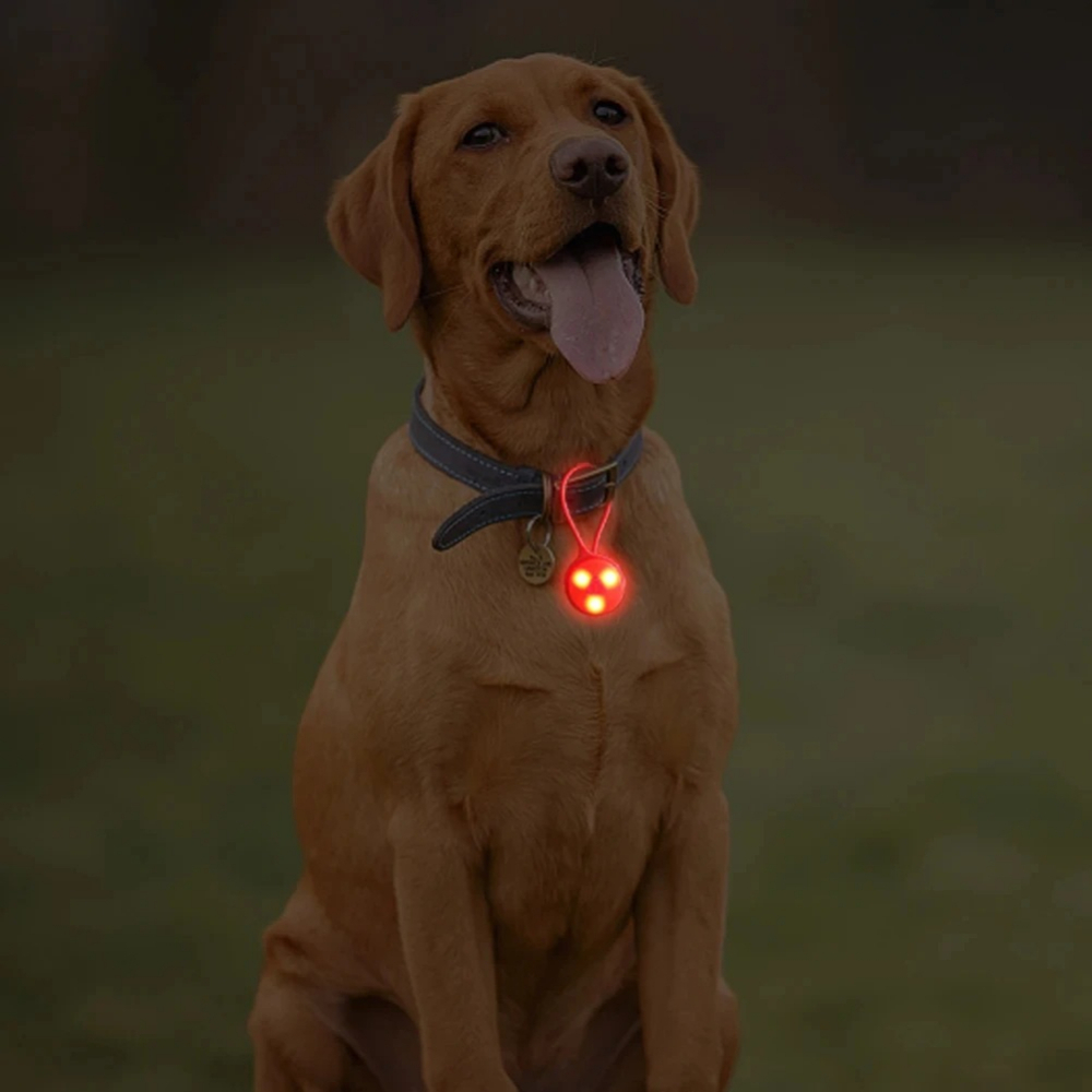Luci per Zaino da Esterno, Luc - Running Gear Reflective recensione e prezzo